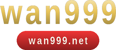 wan999 logo